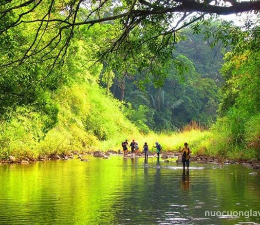 Top 5 đại lý nước khoáng Lavie tại Bình Phước