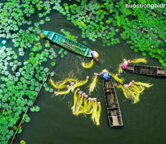 Top 5 đại lý nước khoáng Lavie tại An Giang