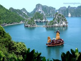 Top 5 đại lý nước khoáng Lavie tại Quảng Ninh