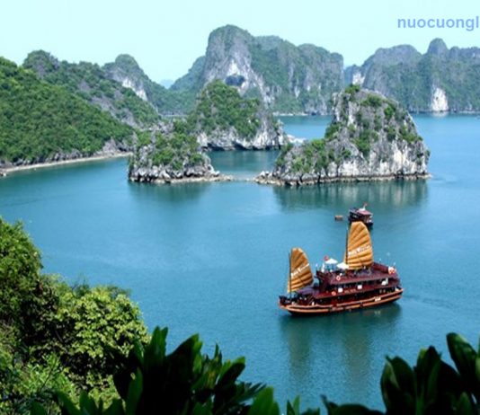 Top 5 đại lý nước khoáng Lavie tại Quảng Ninh